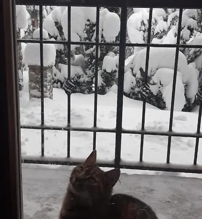 Vikendica Klara Blidinje